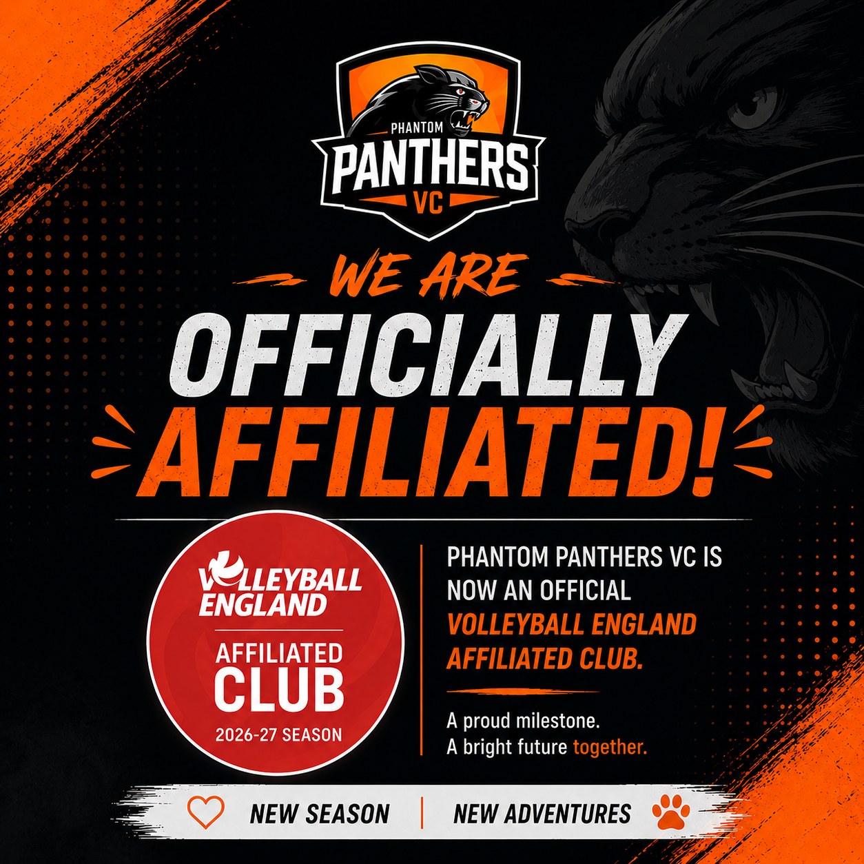 Phantom Panthers VC officially affiliated club graphic